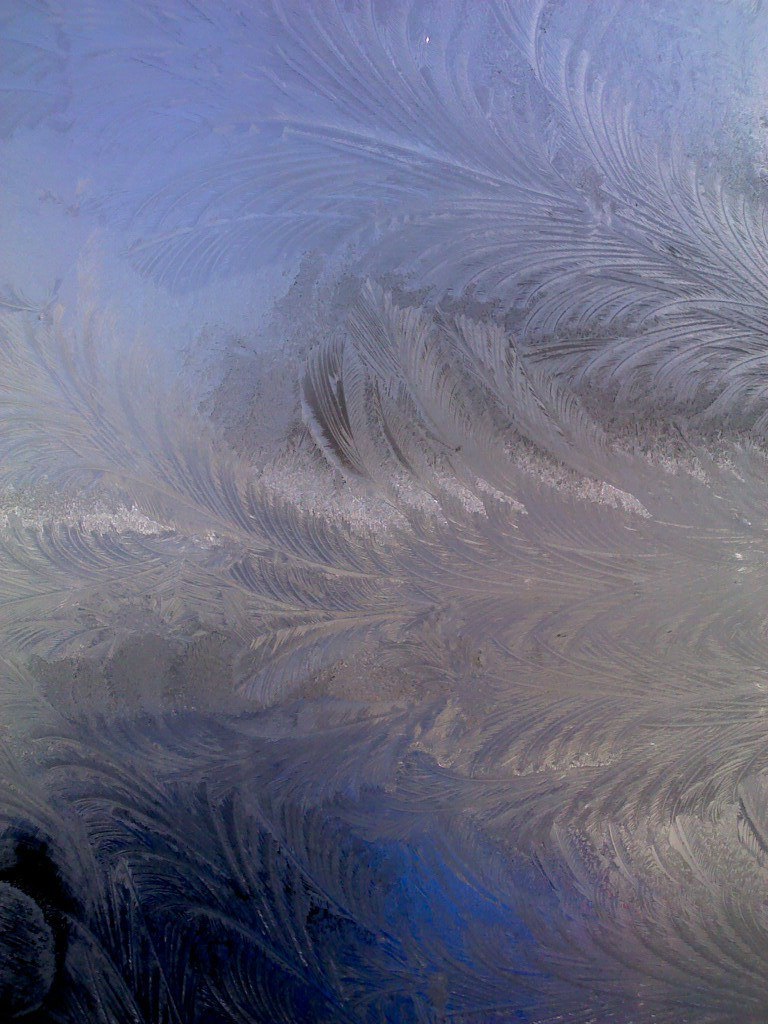 Антон Волков | 