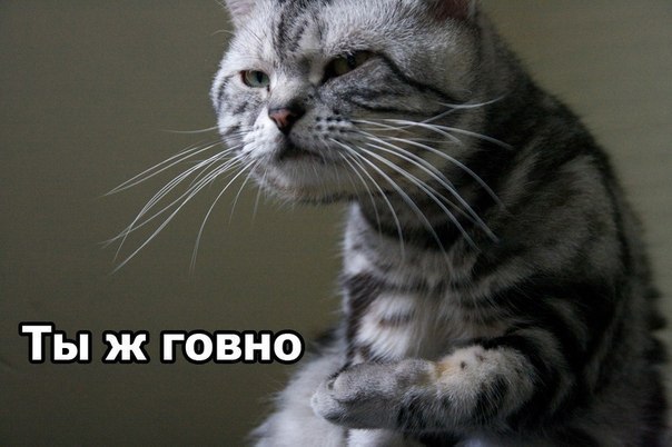 Саня Енотов | Великий Новгород