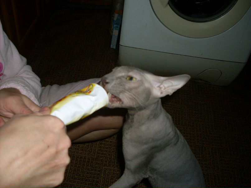 Ольга Кособуцкая | Санкт-Петербург