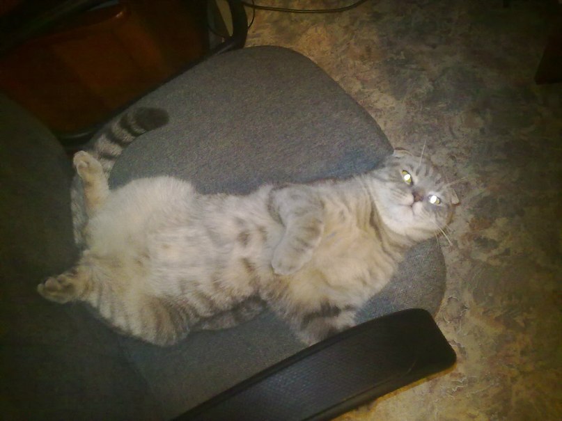 Сергей Маслюков | Воронеж