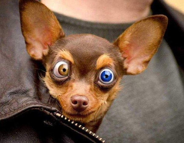 Дима Ильинский, Россия, Москва