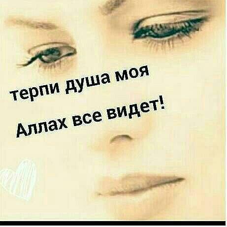картинки терпи душа моя цвет ракушек хорош