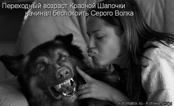 №106, Дмитрий Поснов, Оленегорск №106, Дмитрий Поснов, Оленегорск