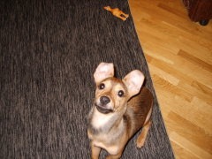 №7, Ваня Ващенко, Киев №7, Ваня Ващенко, Киев