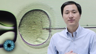 Menschenversuche mit Aids in China: HIV-resistente Babies  geschaffen?!