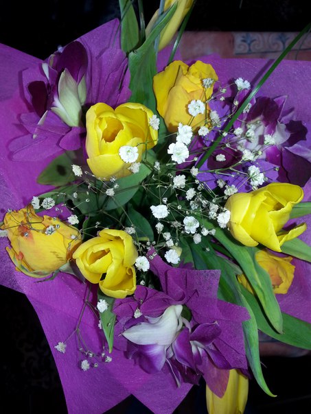 Надежда Шустова, Россия, Москва