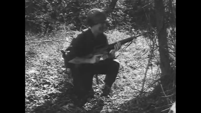 M16 Rifle Maintenance Rifle M16 A1 Field Expedients (1968) US Army i CMR48 JQ