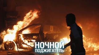 Поджигателя авто разыскивают в Домодедово