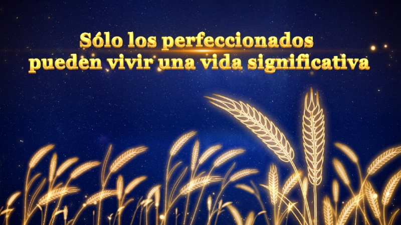 La Palabra de Dios | Sólo los perfeccionados pueden vivir una vida significativa