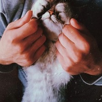 Андрей Никулин
