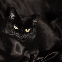 Анна Попова