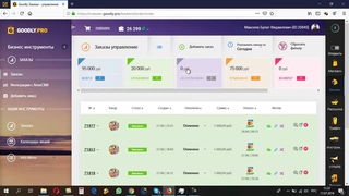 Заработок в интернете от 5000 руб в день Видеообзор заработка на МИТ + БОНУС