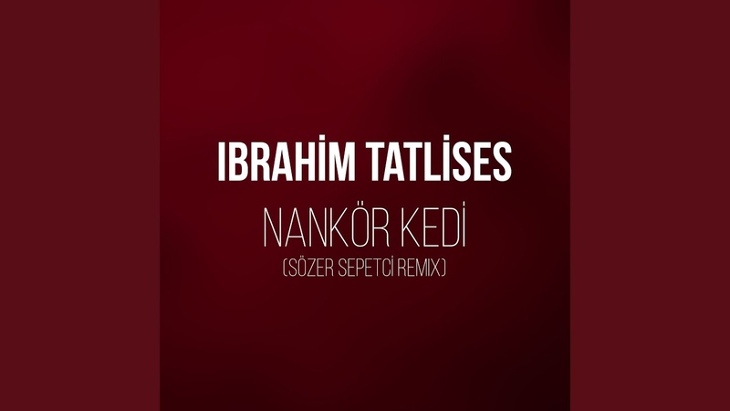 Nankör Kedi (Sözer Sepetci Remix)
