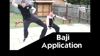 Baji Quan Applications - Baji Techniques & Baji Qin-na