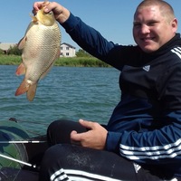 Алексей Журавлев