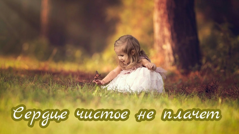 Сердце чистое не плачет христианские песни ( караоке