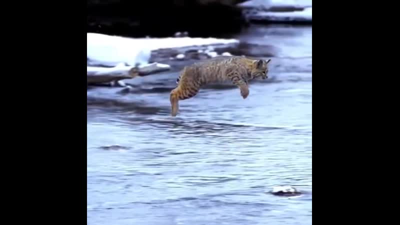 Красивенько!