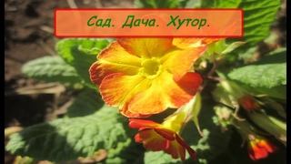 Сад.Дача.Хутор. Сезон 2020 (12) Прибрались..... Сели поели -  домой полетели....