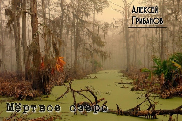 МЕРТВОЕ ОЗЕРО. Глава 2 . - Слушай, если брать навскидку, ему как минимум за сто лет,- сделал вывод Дмитрий.- Как он ещё двигается! - А где ты видишь, что он двигается, такое впечатление, что он