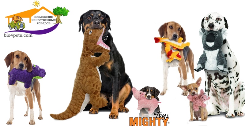 4pets com 4pets com