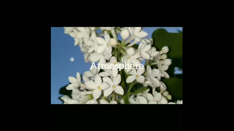 InShot_20200608_011335418.mp4