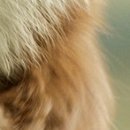 №4, Марина Баклыкова, 26 лет, Самара №4, Марина Баклыкова, 26 лет, Самара