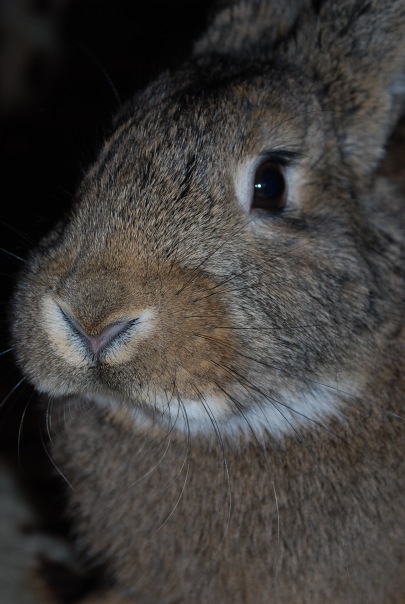 №8, Сандра Столе, 33 года, Даугавпилс №8, Сандра Столе, 33 года, Даугавпилс