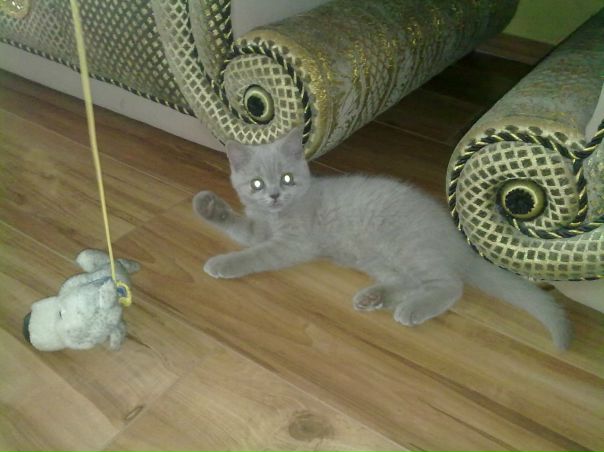 №40, Kateryna Dudnikova, 33 года, Днепр (Днепропетровск) №40, Kateryna Dudnikova, 33 года, Днепр (Днепропетровск)