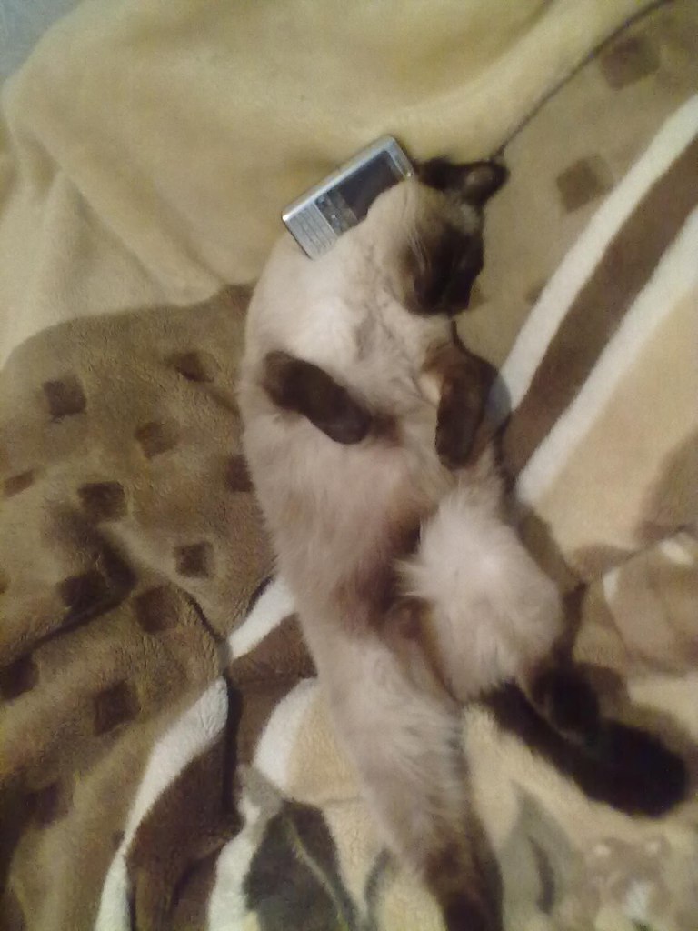 Алексей Фёдоров | Санкт-Петербург