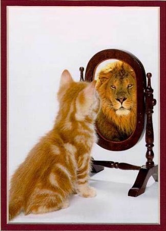 Юля Фоменко | Днепр (Днепропетровск)