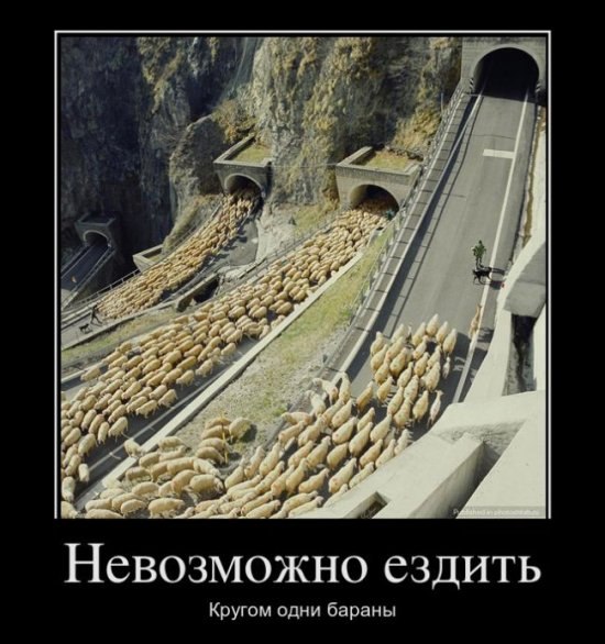 Юля Стрелкова | Белорецк