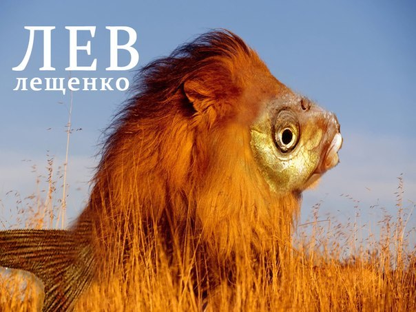 Александра Субботович | Щелково