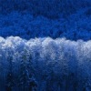 Аватар: Ольга Чалкина