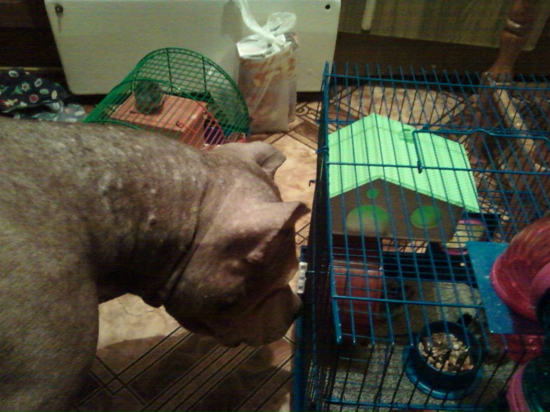 Людмила Гнатюк Володимирівна | Броды