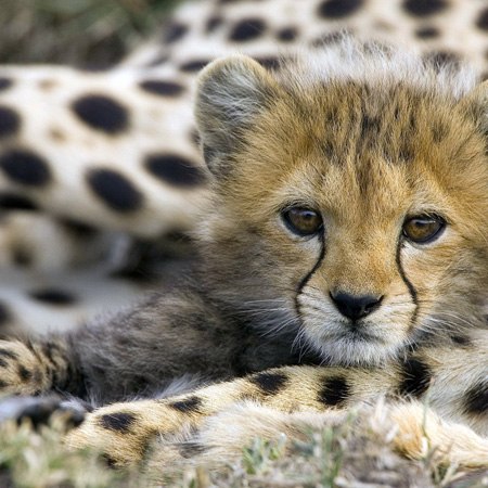 Инна Антонова | Стерлитамак