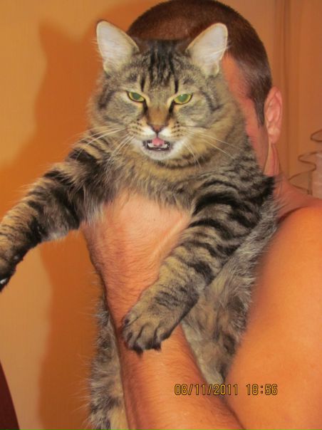 №31, Анастасия Залога, Николаев №31, Анастасия Залога, Николаев