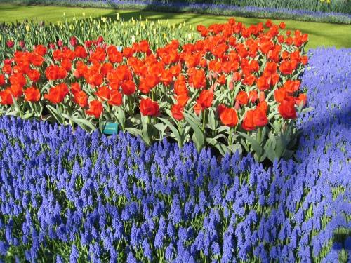 Игорь Булдаков | Николаев