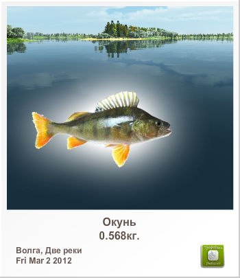 Roman Bobrik | Донецк