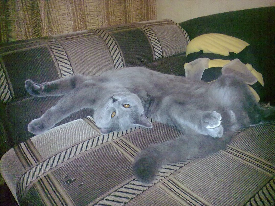 Ярослав Аждер | Харьков