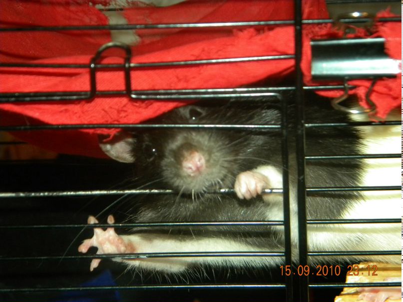 Юля Казакова | Москва