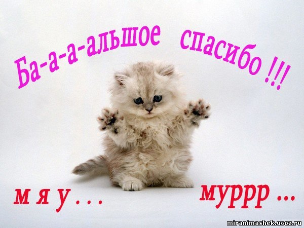 Михаил Перфильев | Архангельск