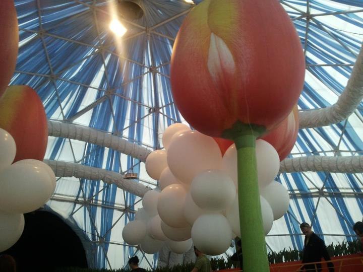 Алёна Фагуст | Ariel