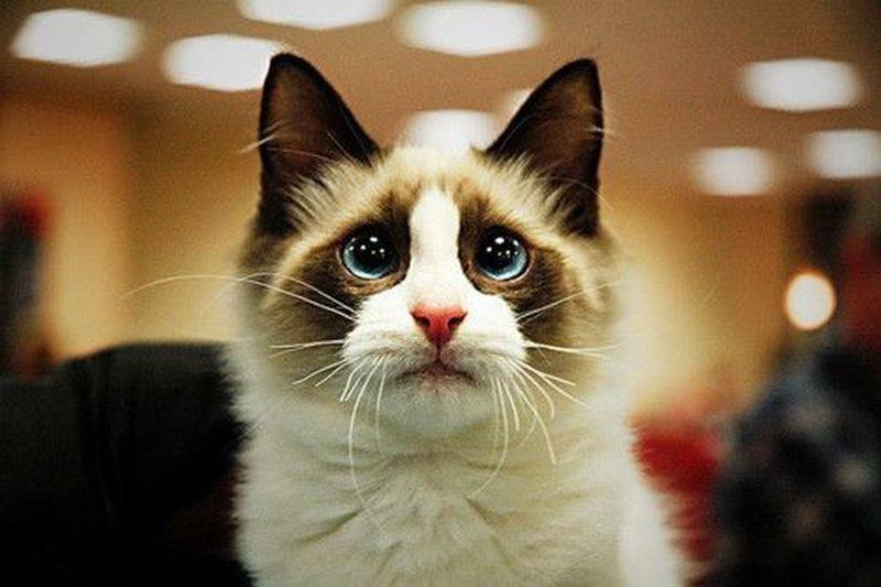 Марат Мукожев | Москва