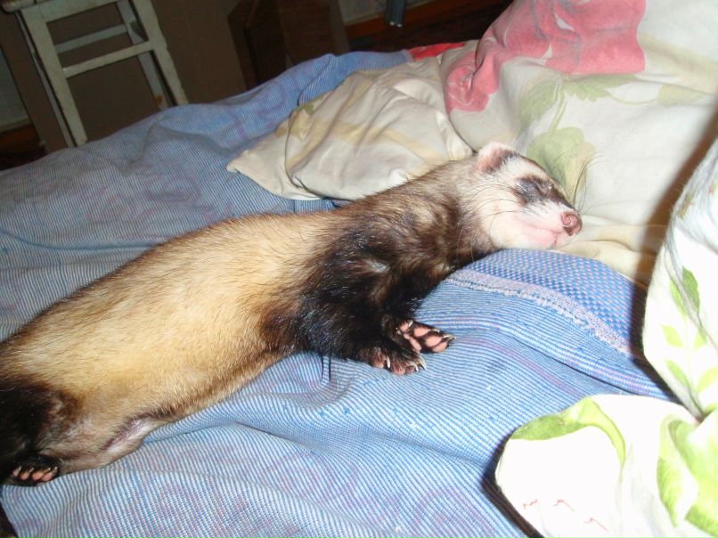 Женя Синичкин | Курск (поселок)