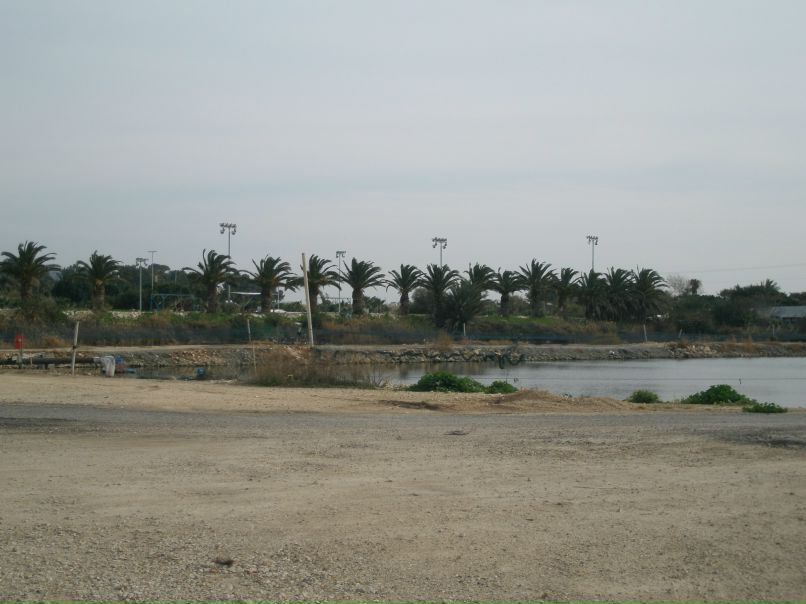 Ирина Зущик | Житомир