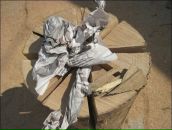 №4 Евгений Пекишев : профиль, фото, статус - ВКонтакте №4 Евгений Пекишев : профиль, фото, статус - ВКонтакте