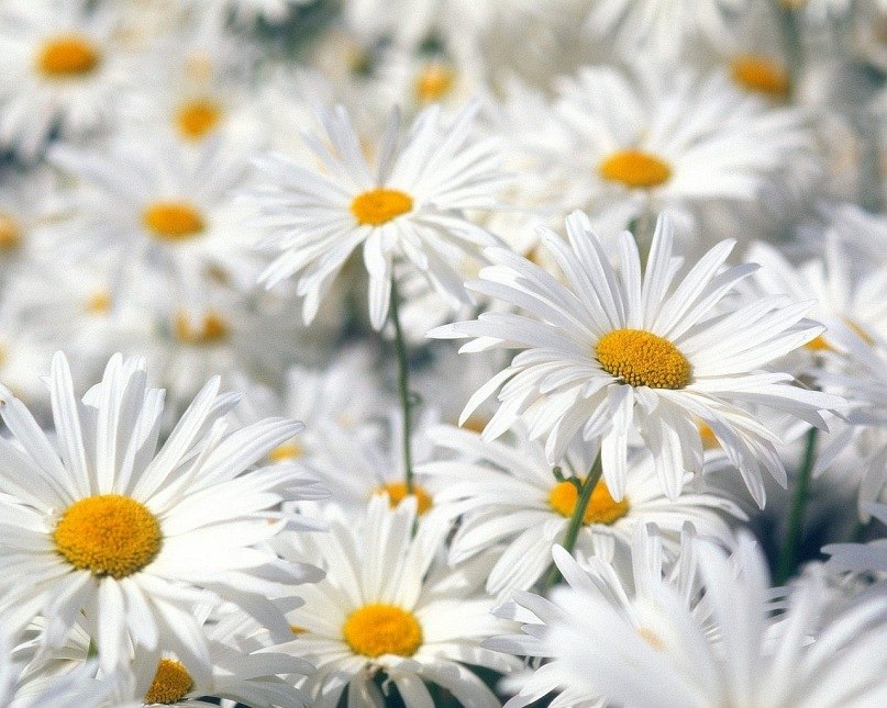 Динара Биктимирова | Стерлитамак