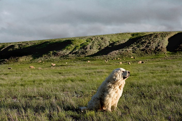 Пелагея Ономастиковна | Киев