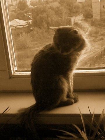 Марина Андреева | Челябинск