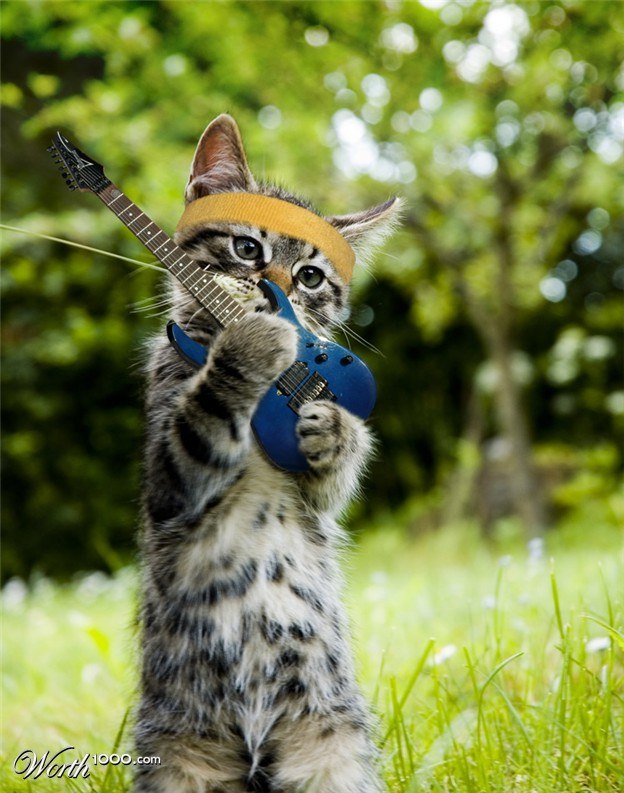 Вадім Балковий Миколайович | Каменец-Подольский